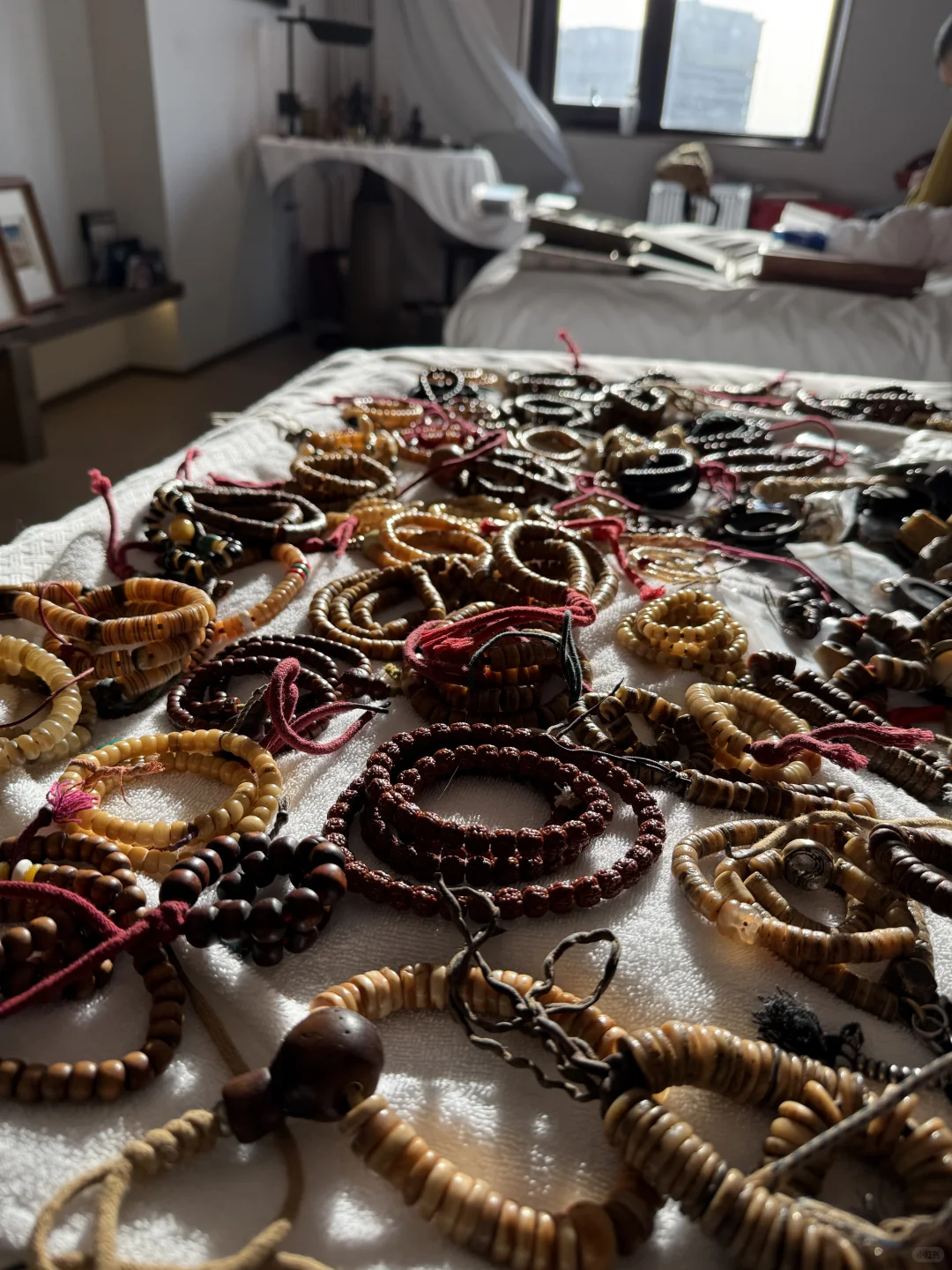 北京展会开始了