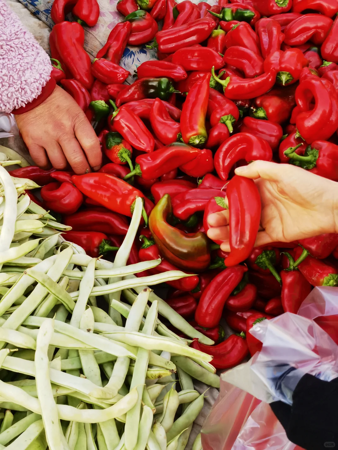 过年的模样：逛大集，购年货