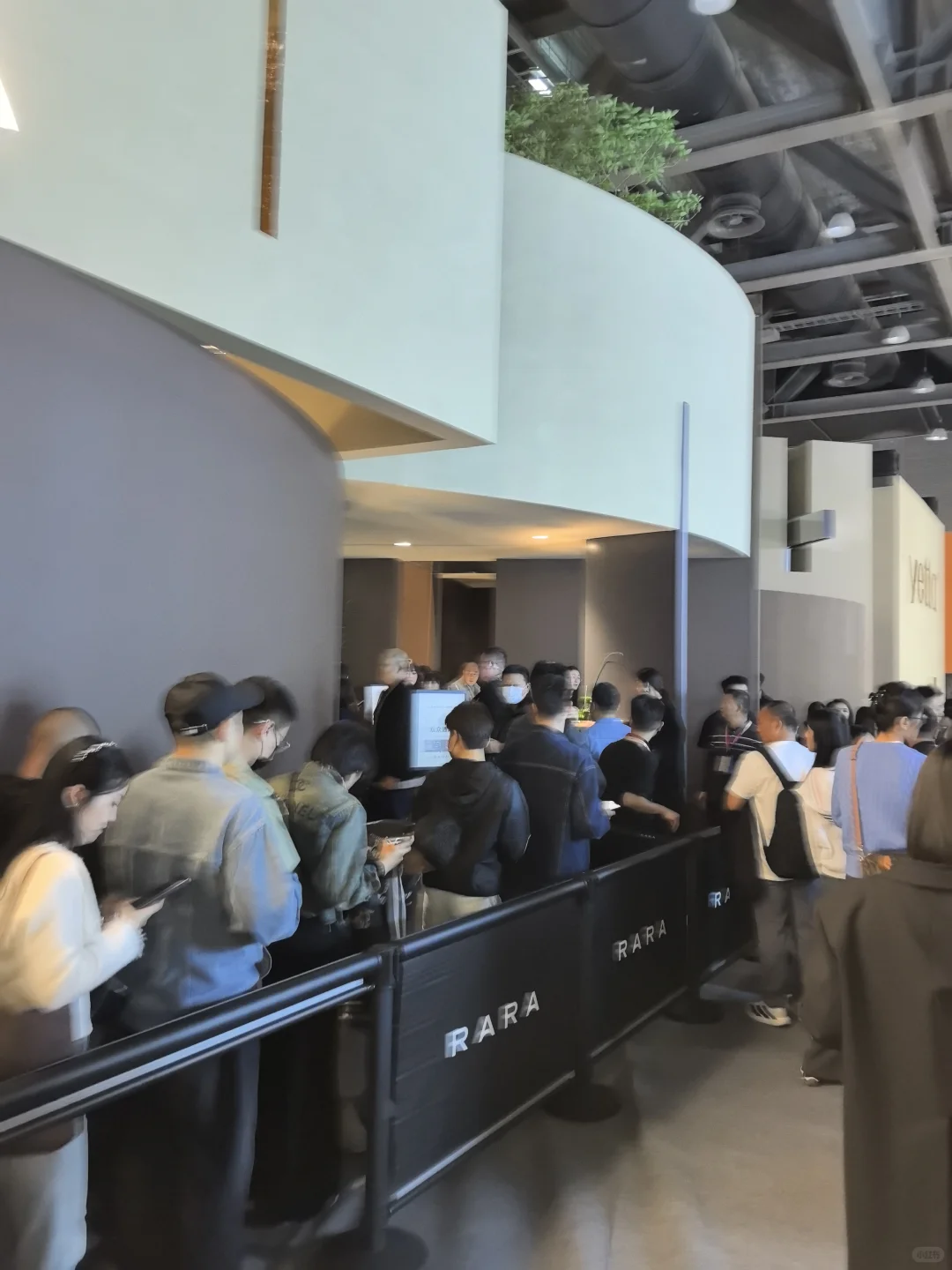 今年RARA展位值得去吗???