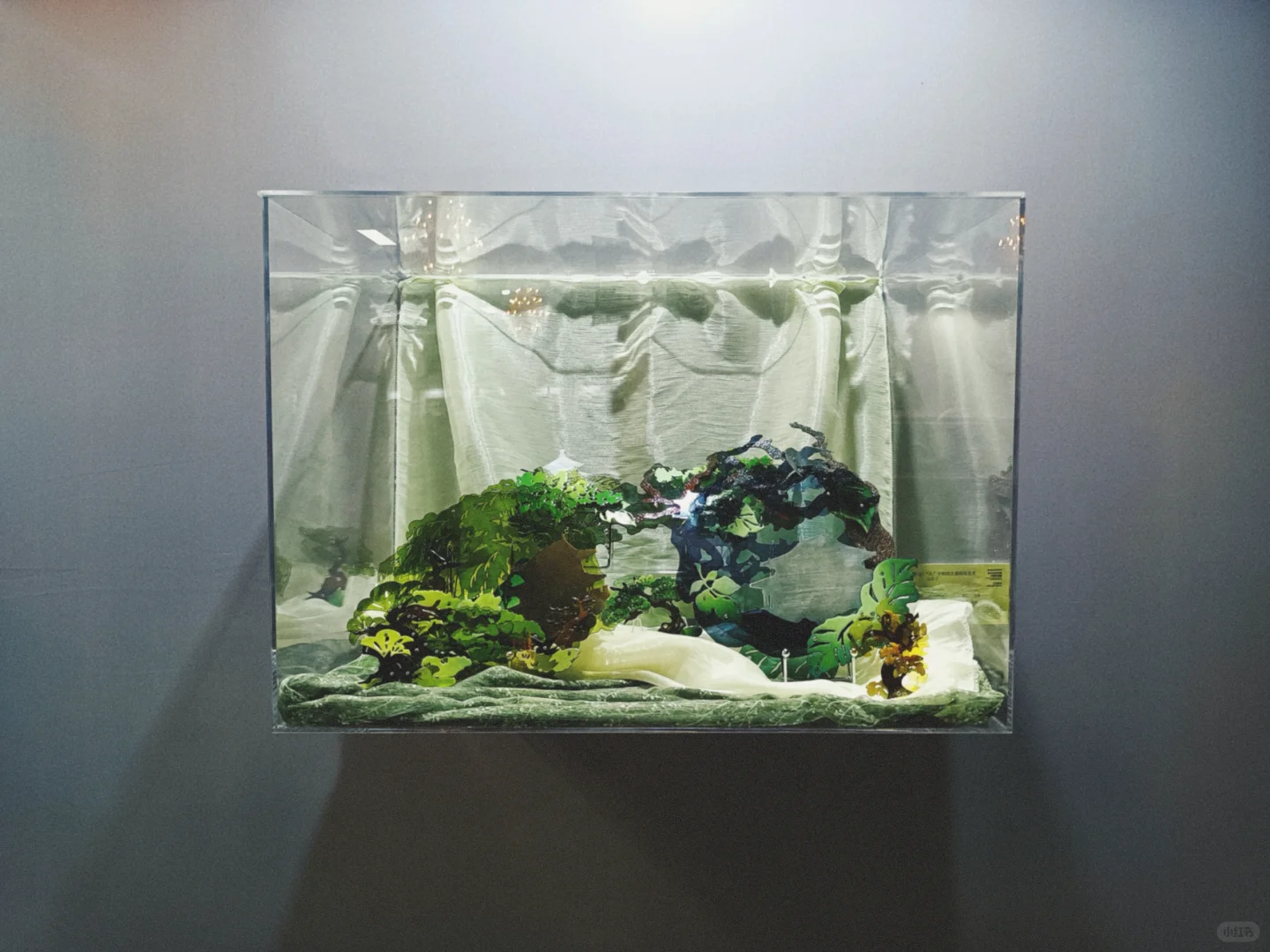 毕设展还可以这么玩