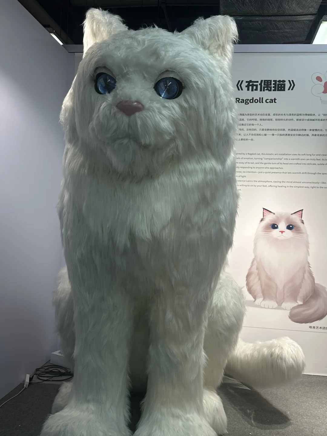 在广州设计周看过宇宙星辰??