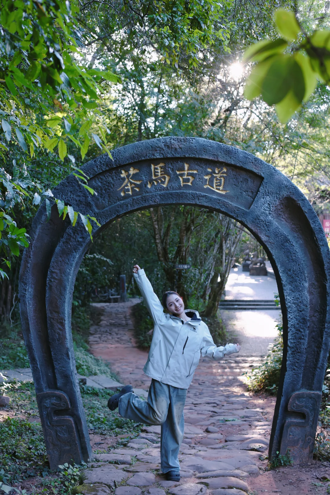 普洱‼️ 茶博会隐藏玩法大公开?