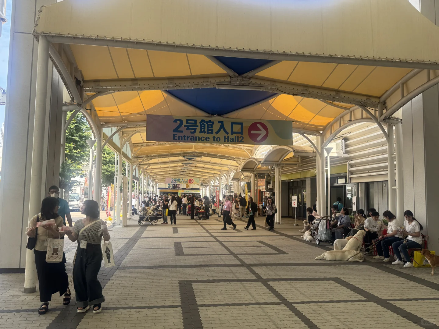 ?日本大阪宠物用品展Interpets Osaka✨