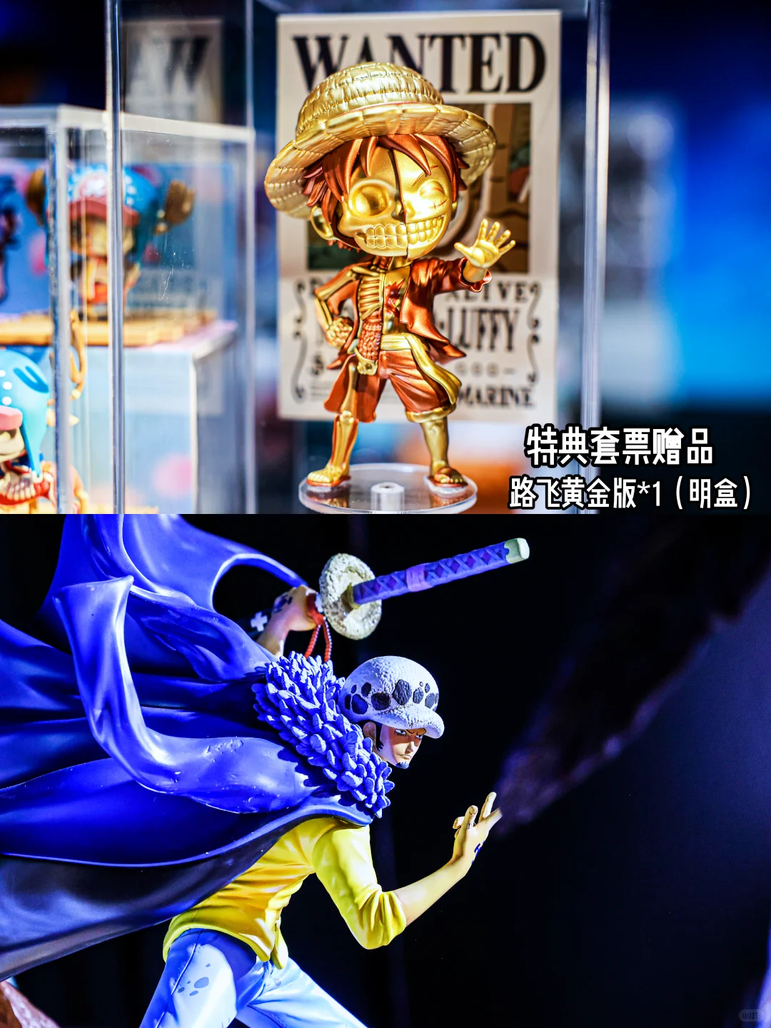 《航海王》大航海时代动漫展(广州站)~来啦