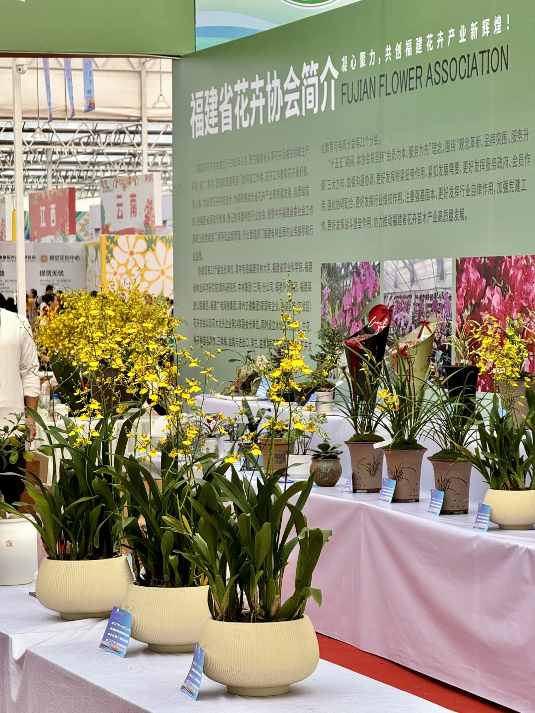 感觉今天1/3的桂林人都来了这里