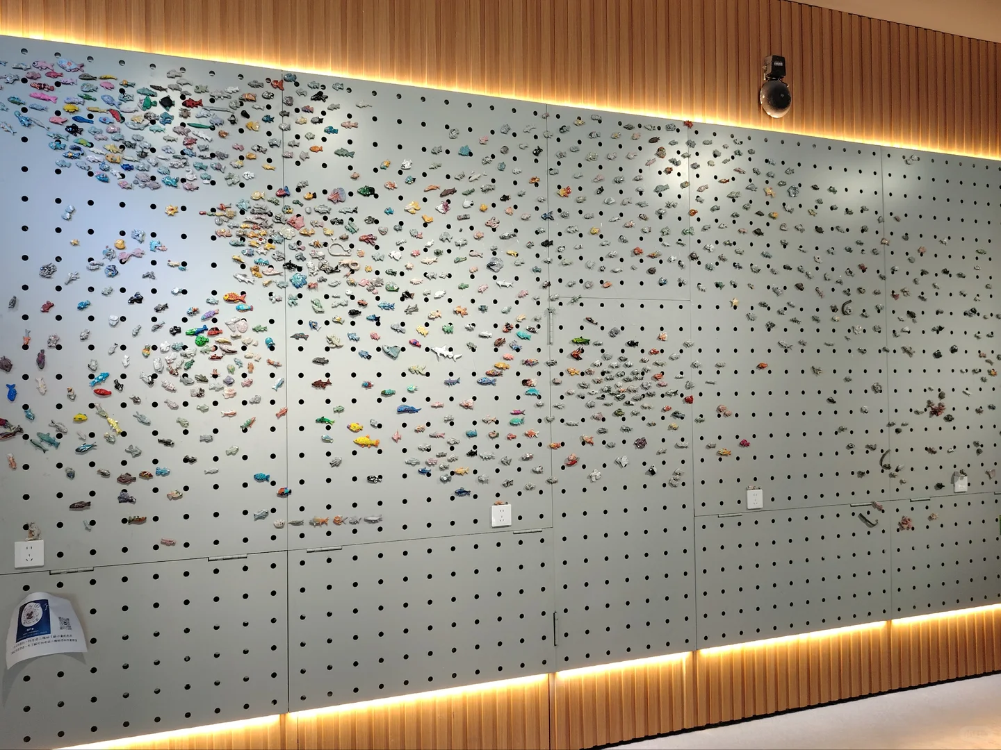 放飞梦想的地方