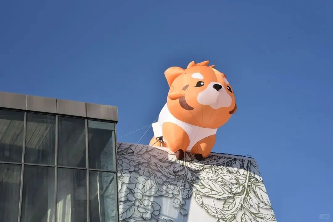 倒计时1天！2025普洱茶咖博览来了！