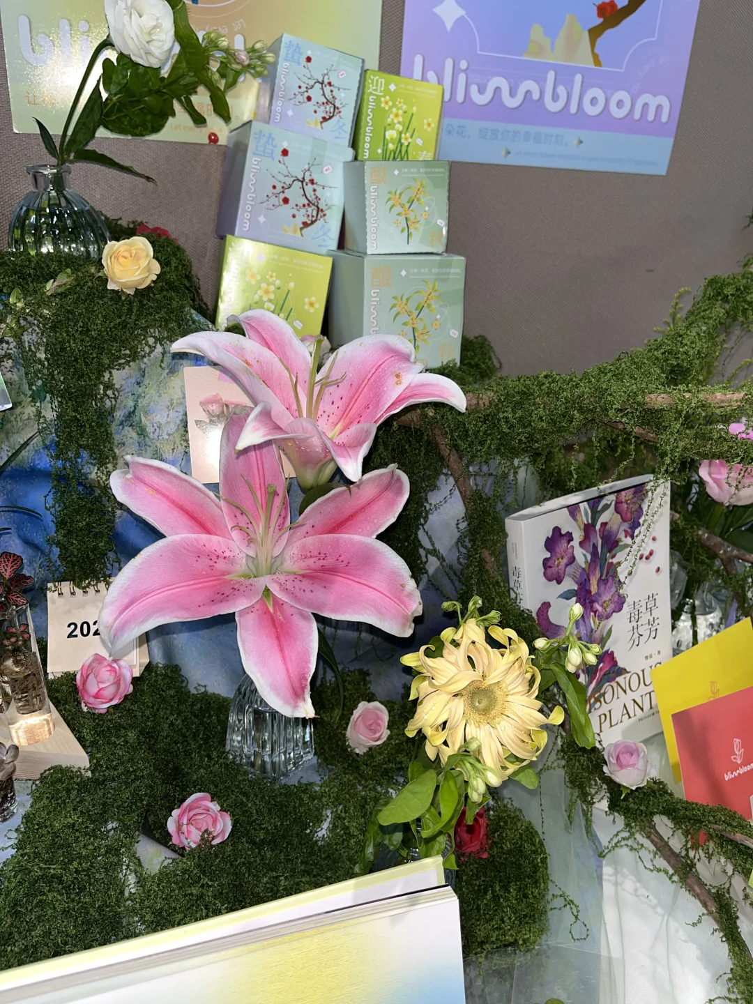 又是一年毕业季～毕设布展