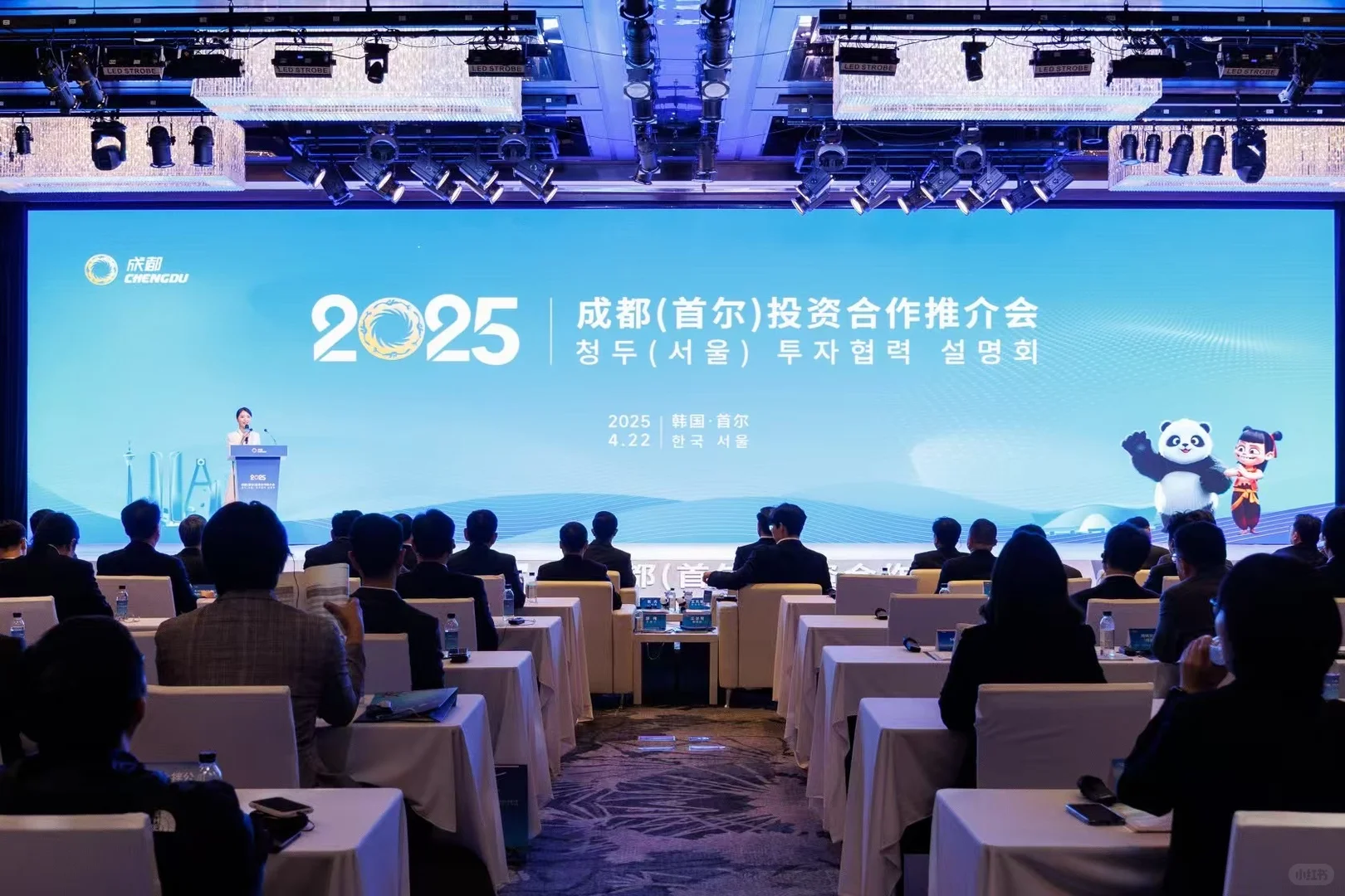 2025成都(首尔)投资合作推介会 #活动 #视频