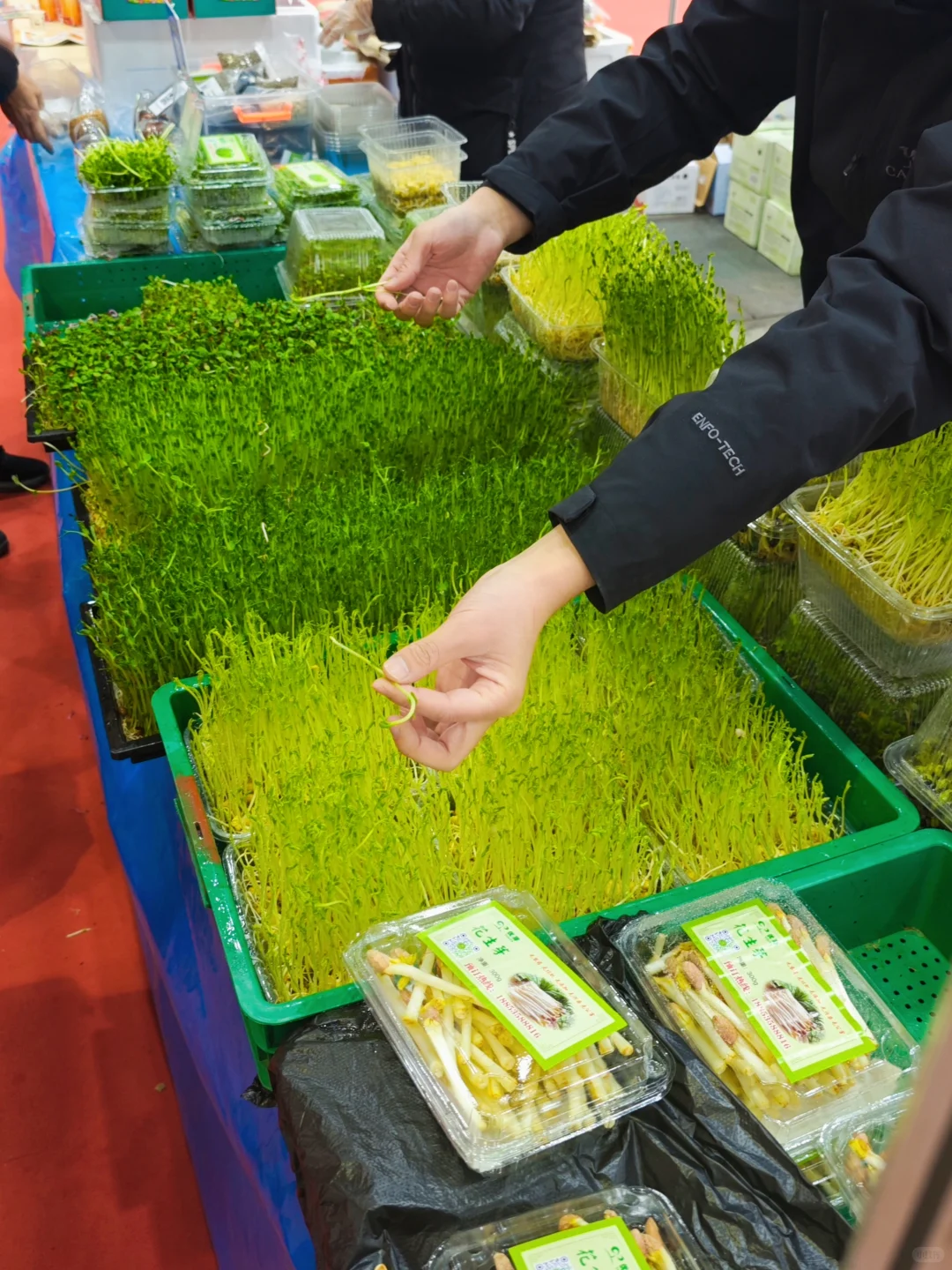 烟台这里也太热闹了