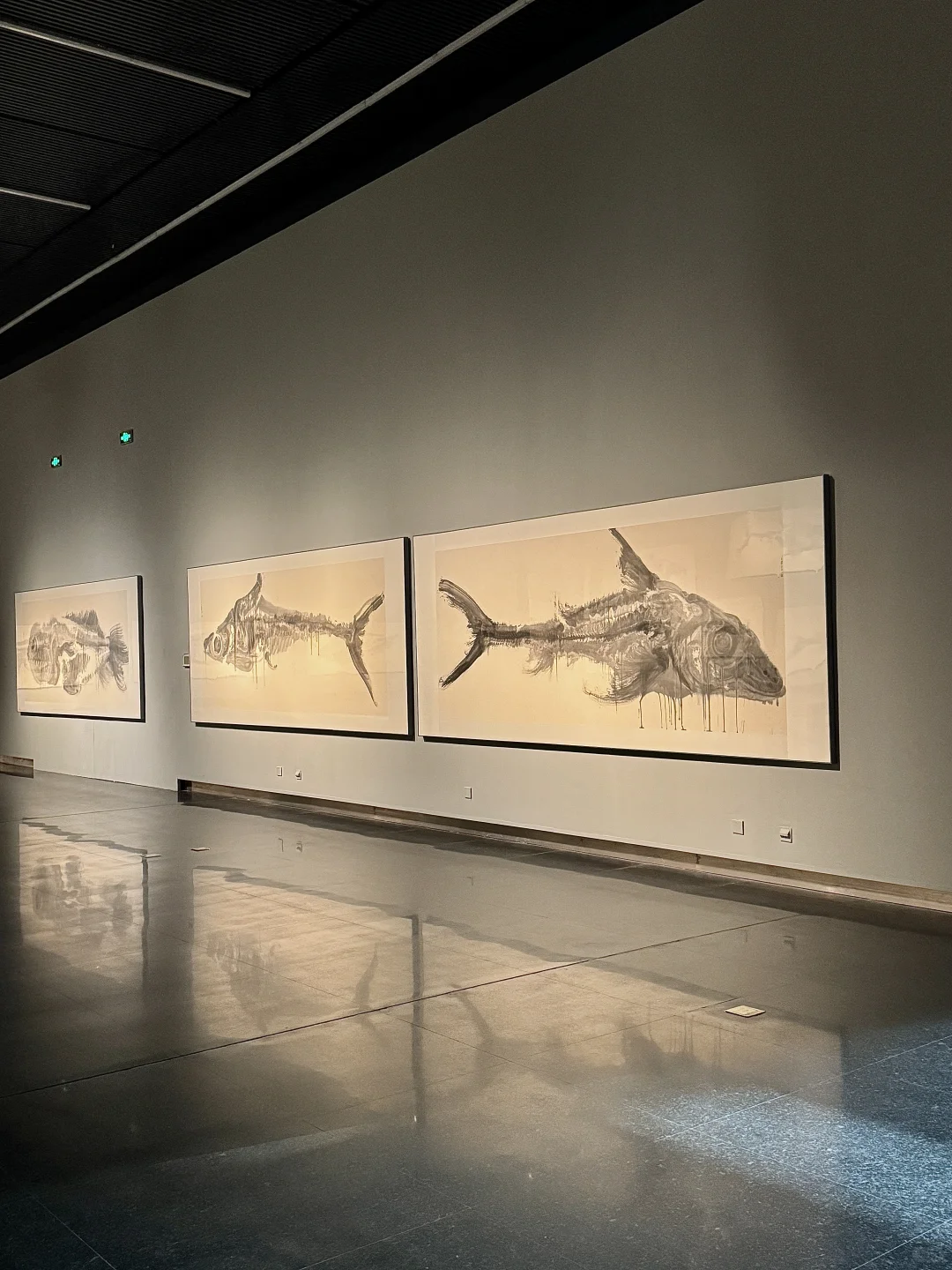 南京新展｜周京新《有鱼》：水墨大鱼游入南京