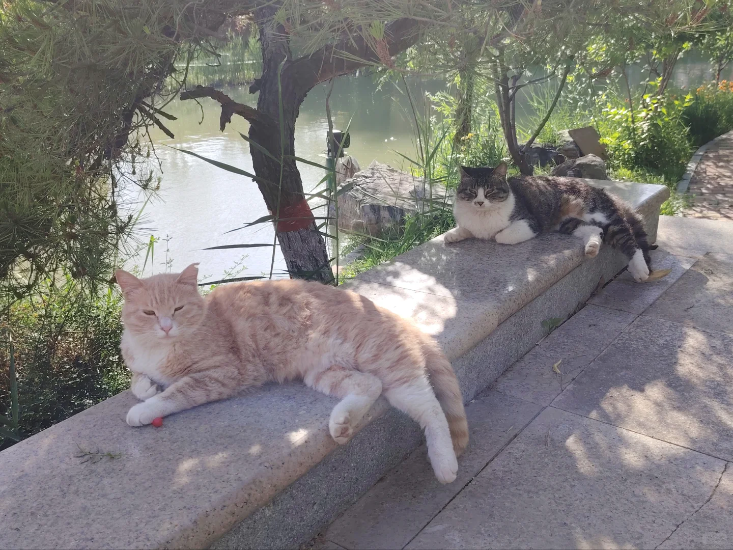 放飞梦想的地方