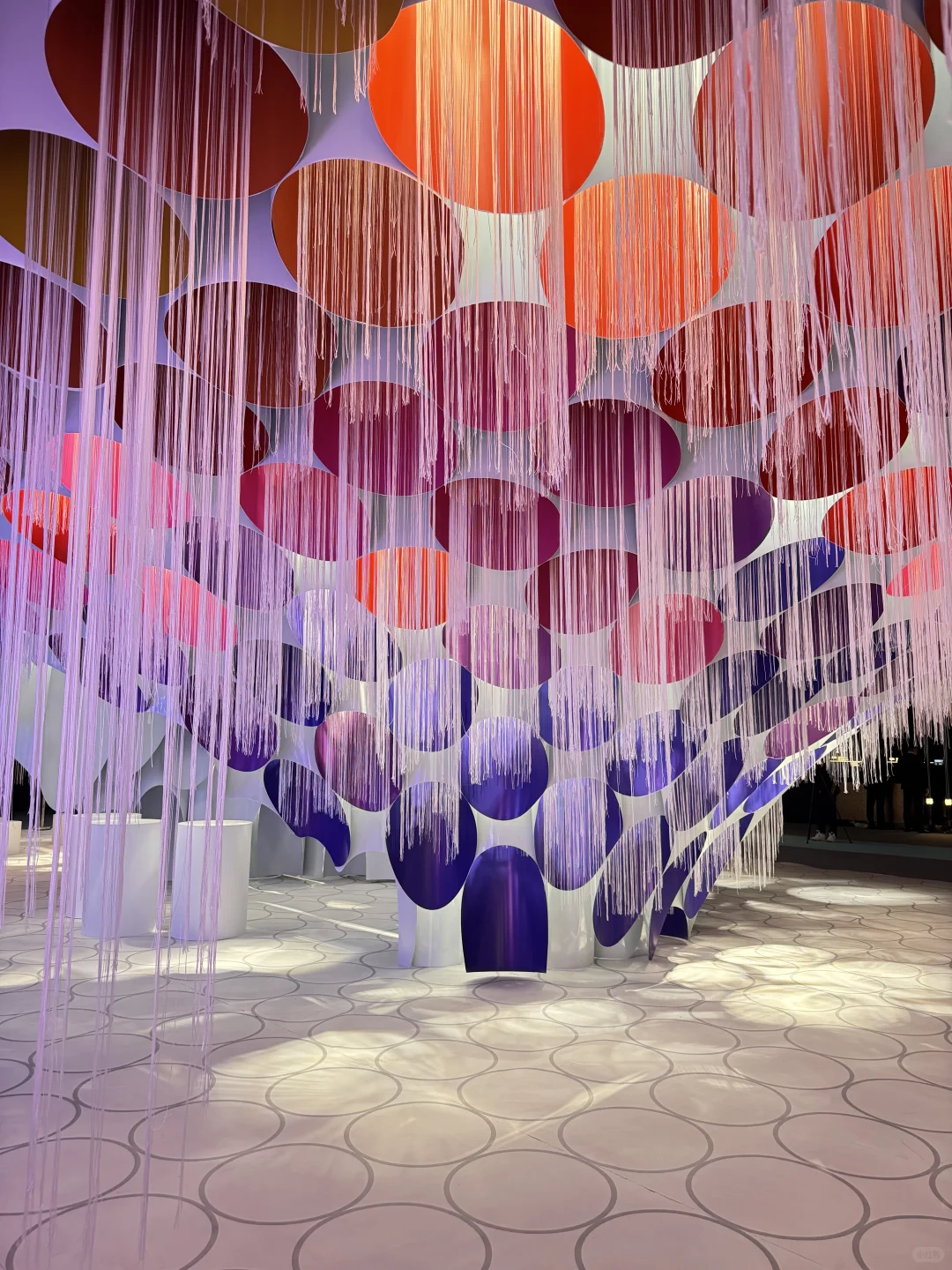 打卡MF许愿树！这5️⃣个机位！速速码住