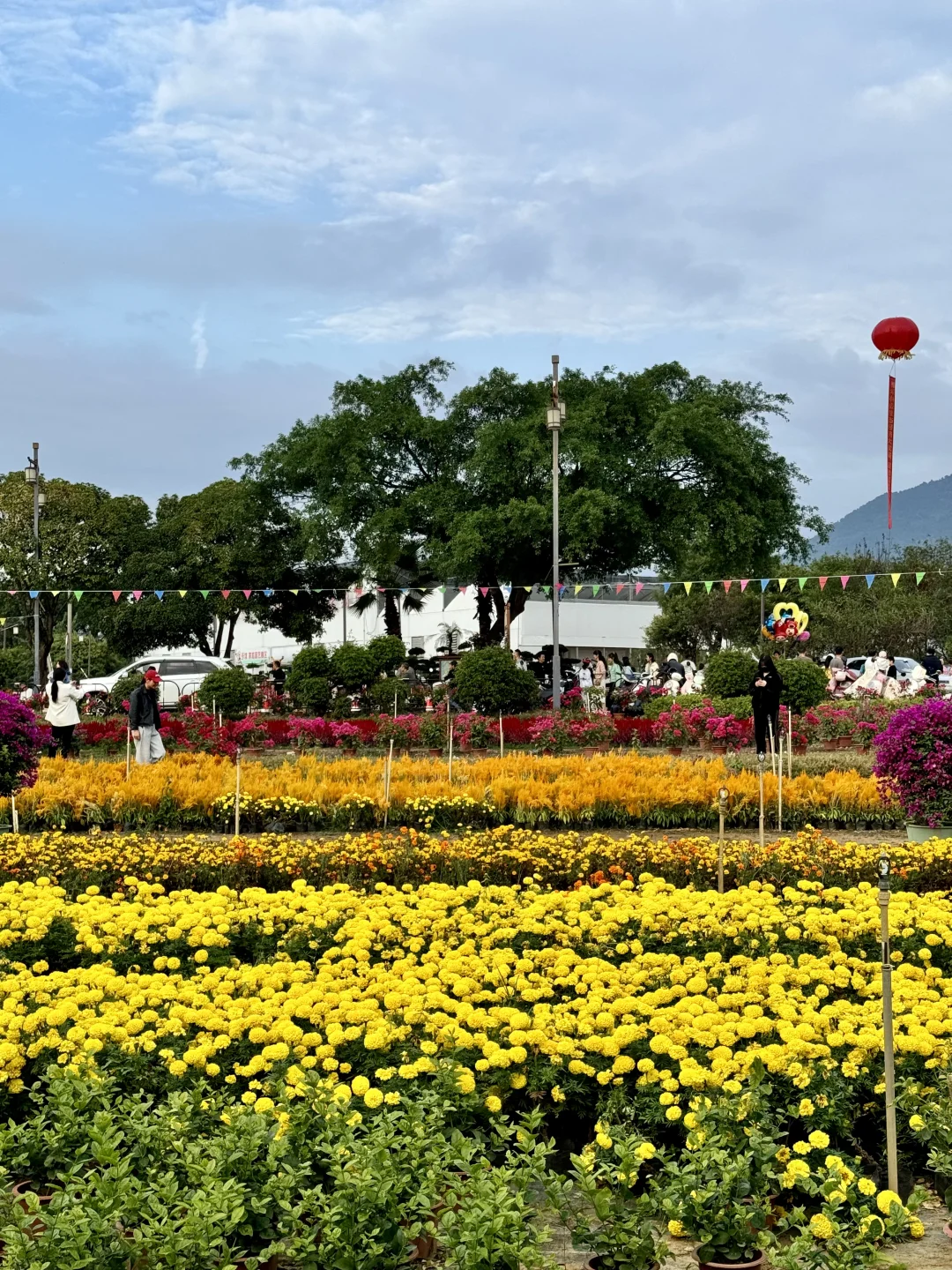 感觉今天1/3的桂林人都来了这里