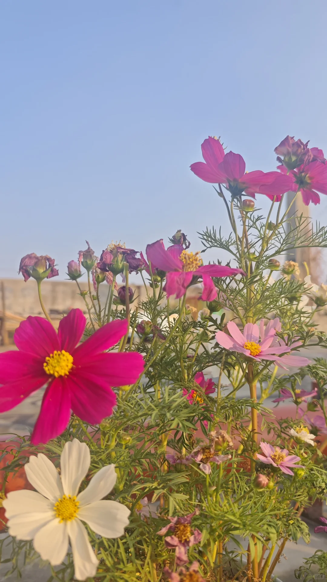 在花园里做投资交易会是一种什么体验