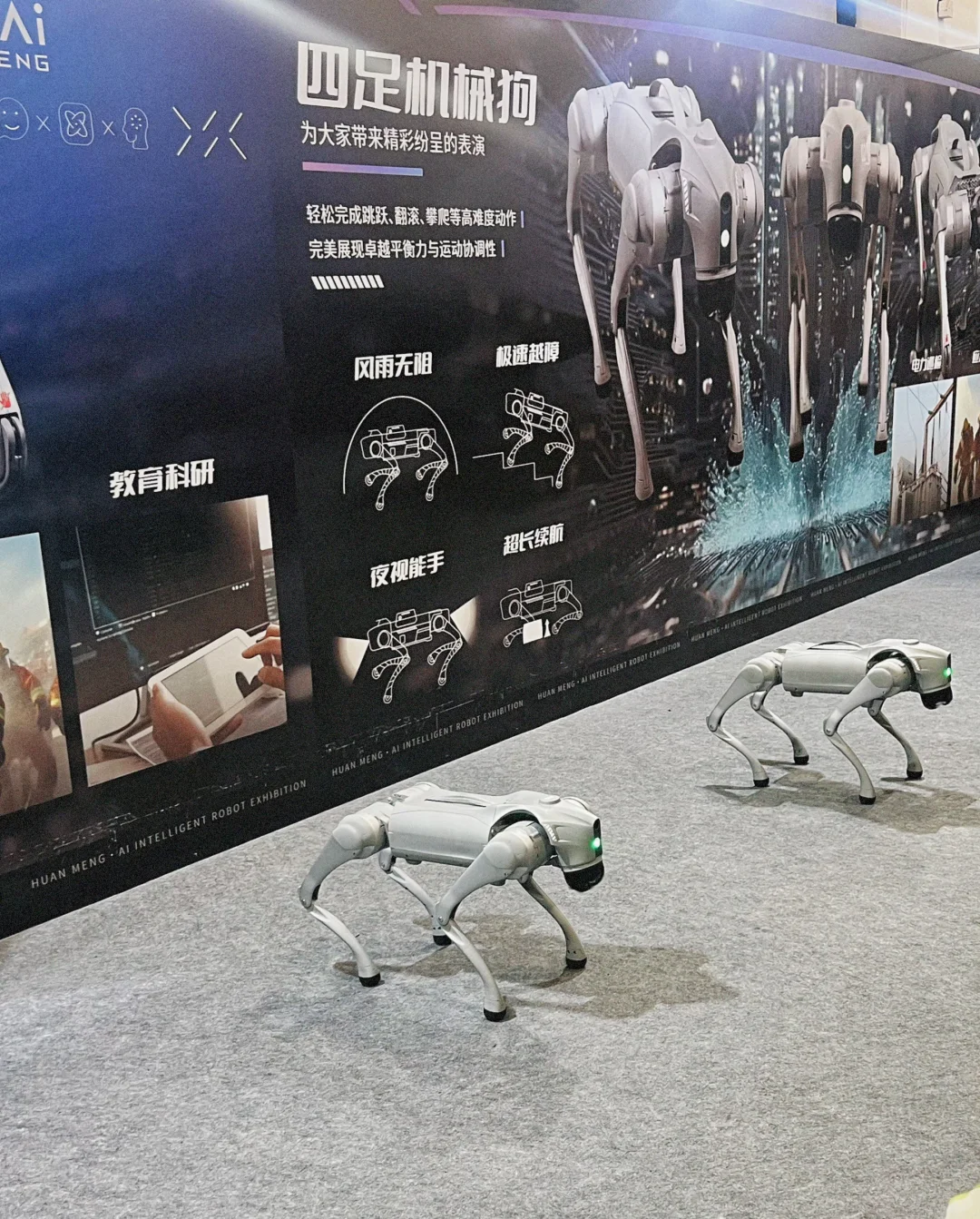 2025 ? 环梦AI机器人科普展?