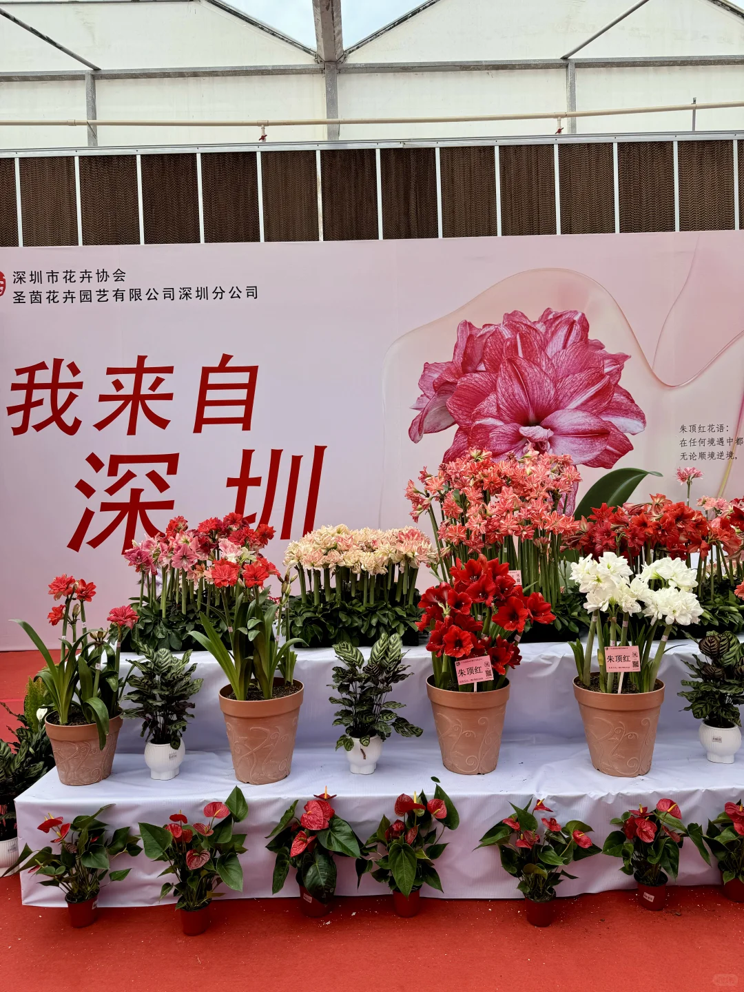 感觉今天1/3的桂林人都来了这里