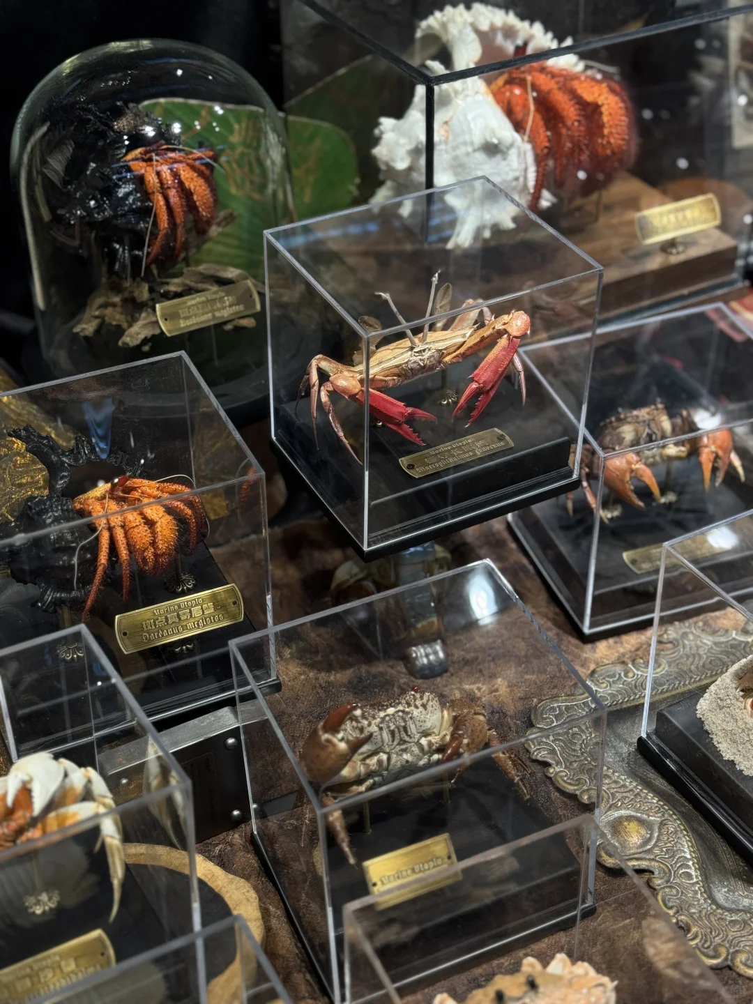 又是一年一度的广州设计周