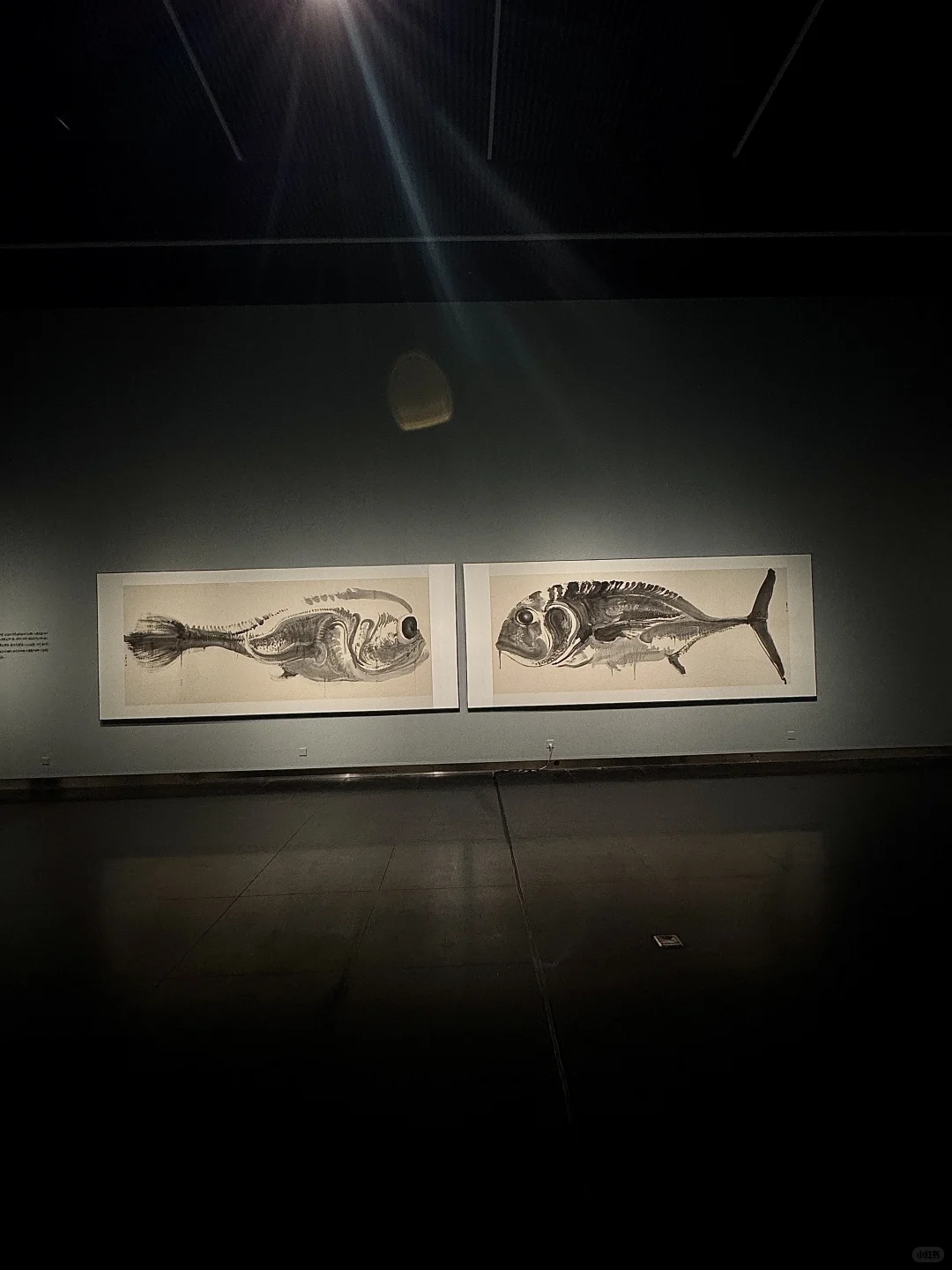 南京新展｜周京新《有鱼》：水墨大鱼游入南京