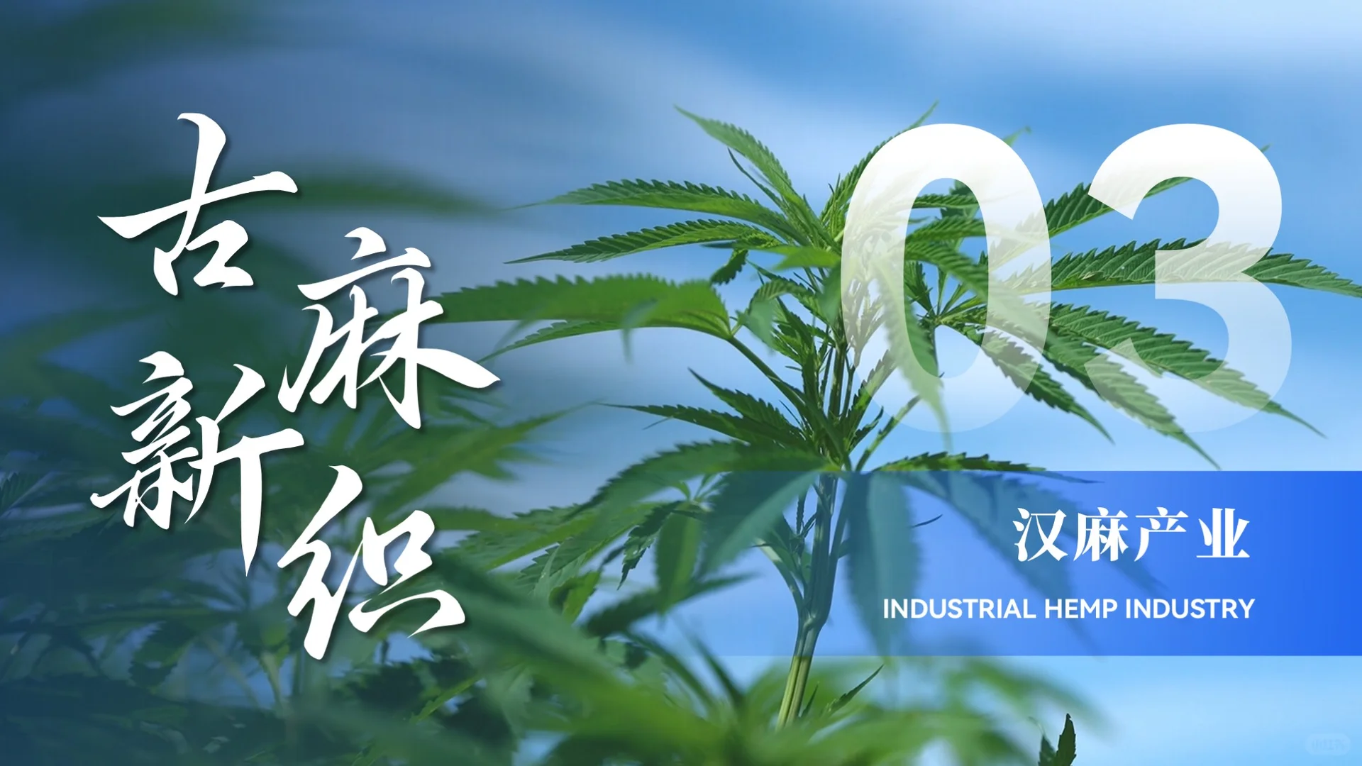 高端推介PPT 案例分享！