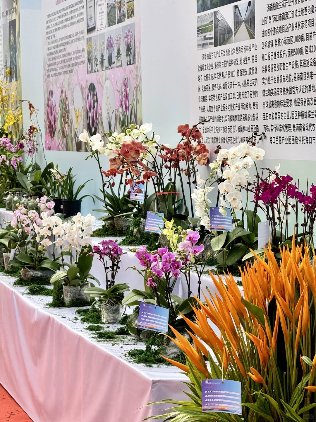 感觉今天1/3的桂林人都来了这里