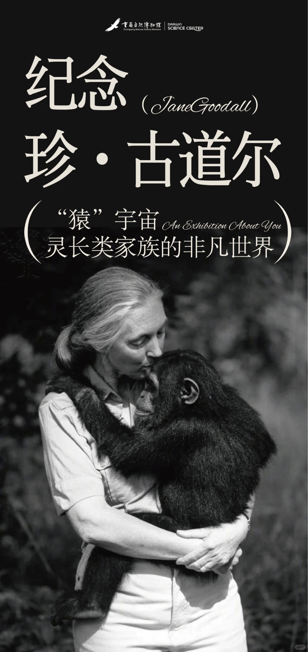 展览｜2025重庆12月展览合集