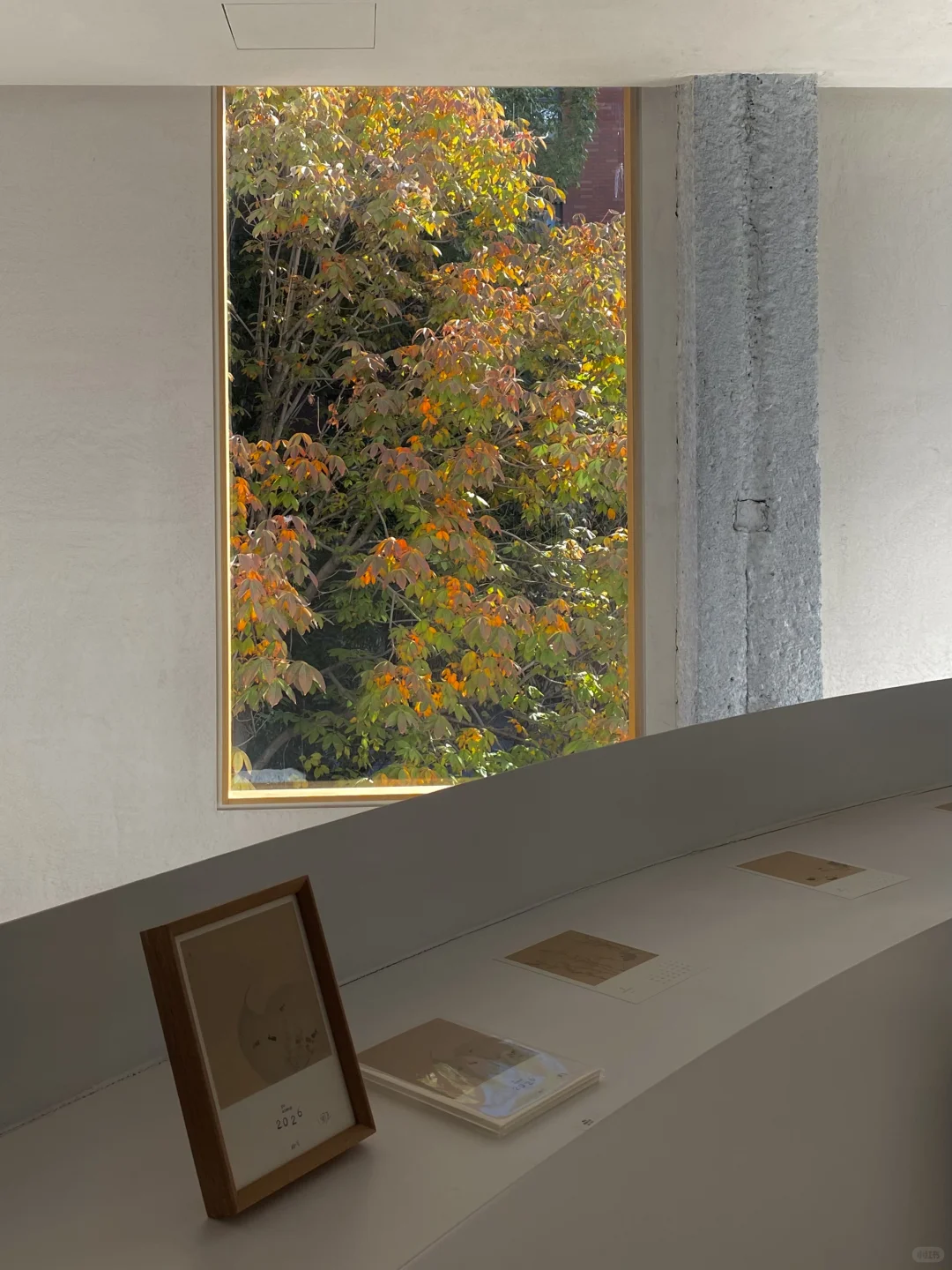 杭州新展 | 一个像夏天，一个像秋天