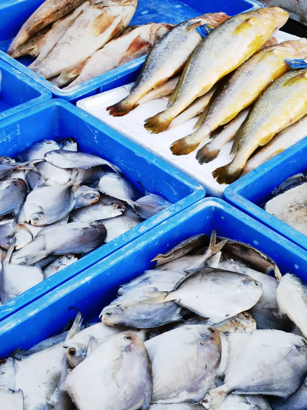 过年的模样：逛大集，购年货