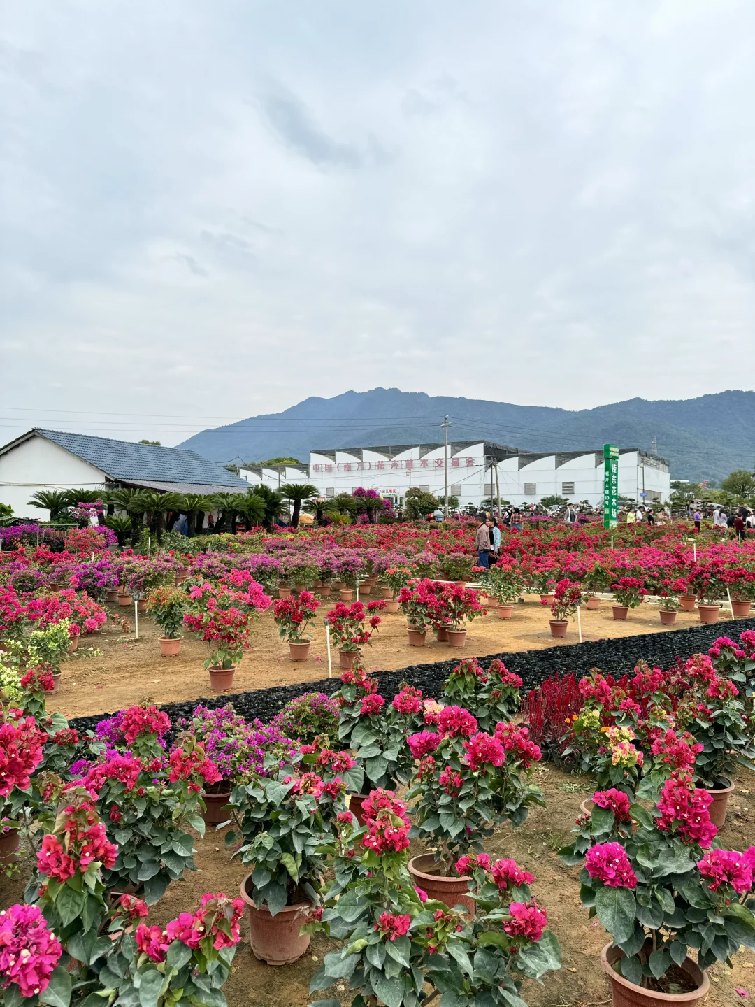 感觉今天1/3的桂林人都来了这里