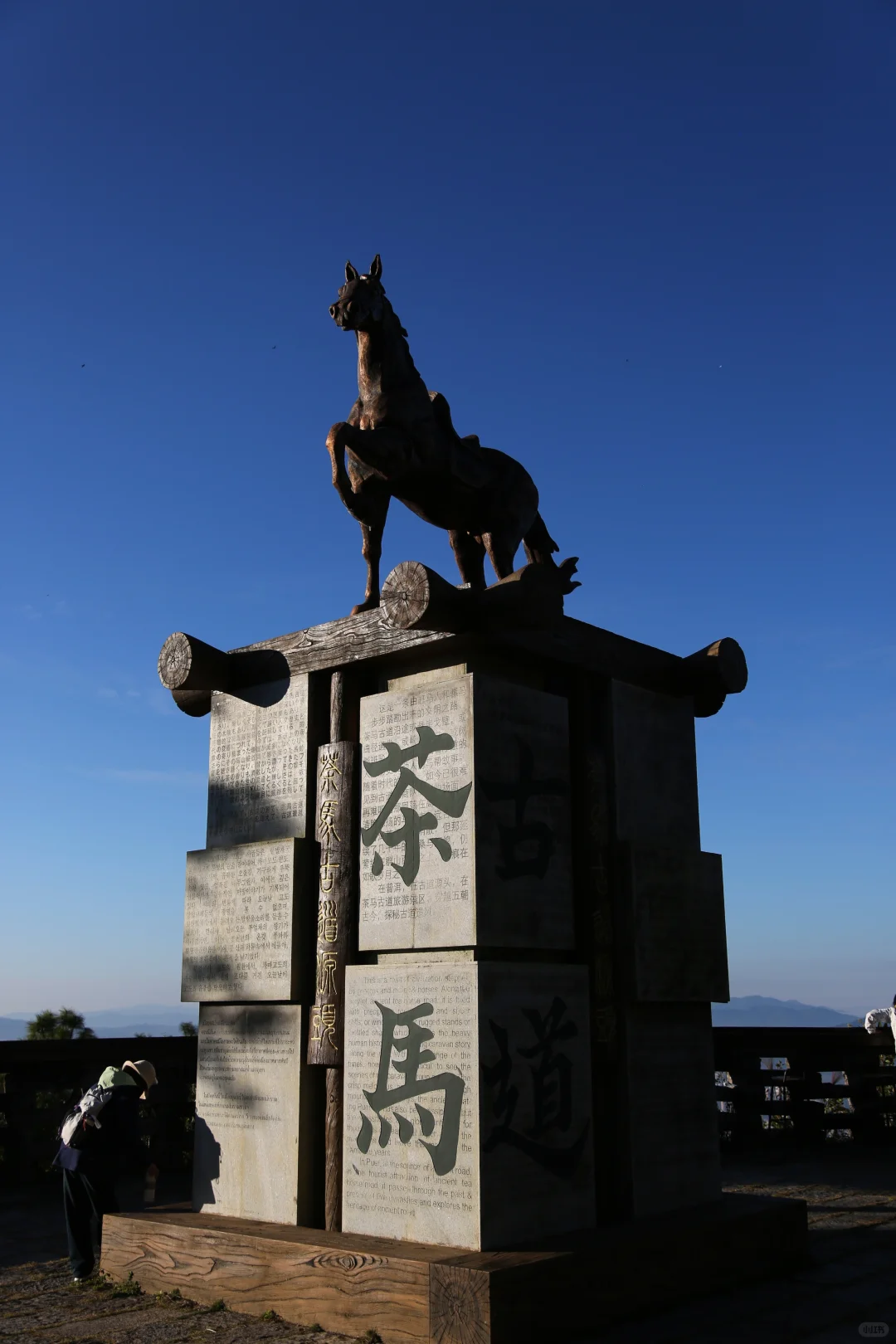普洱‼️ 茶博会隐藏玩法大公开?