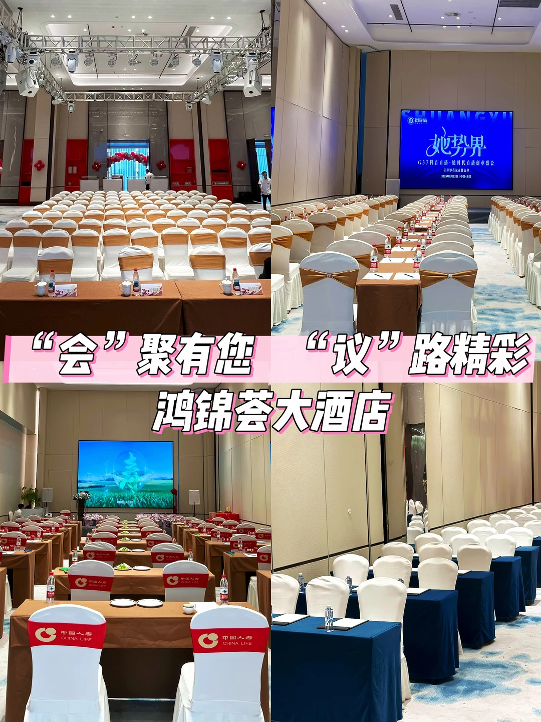 鸿锦荟｜“会”聚有您，“议”路精彩