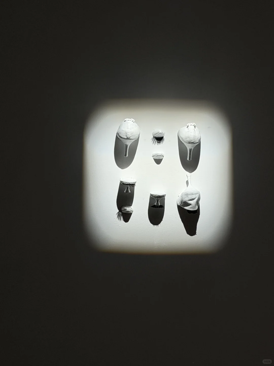 杭州真不缺有意思的展览！！