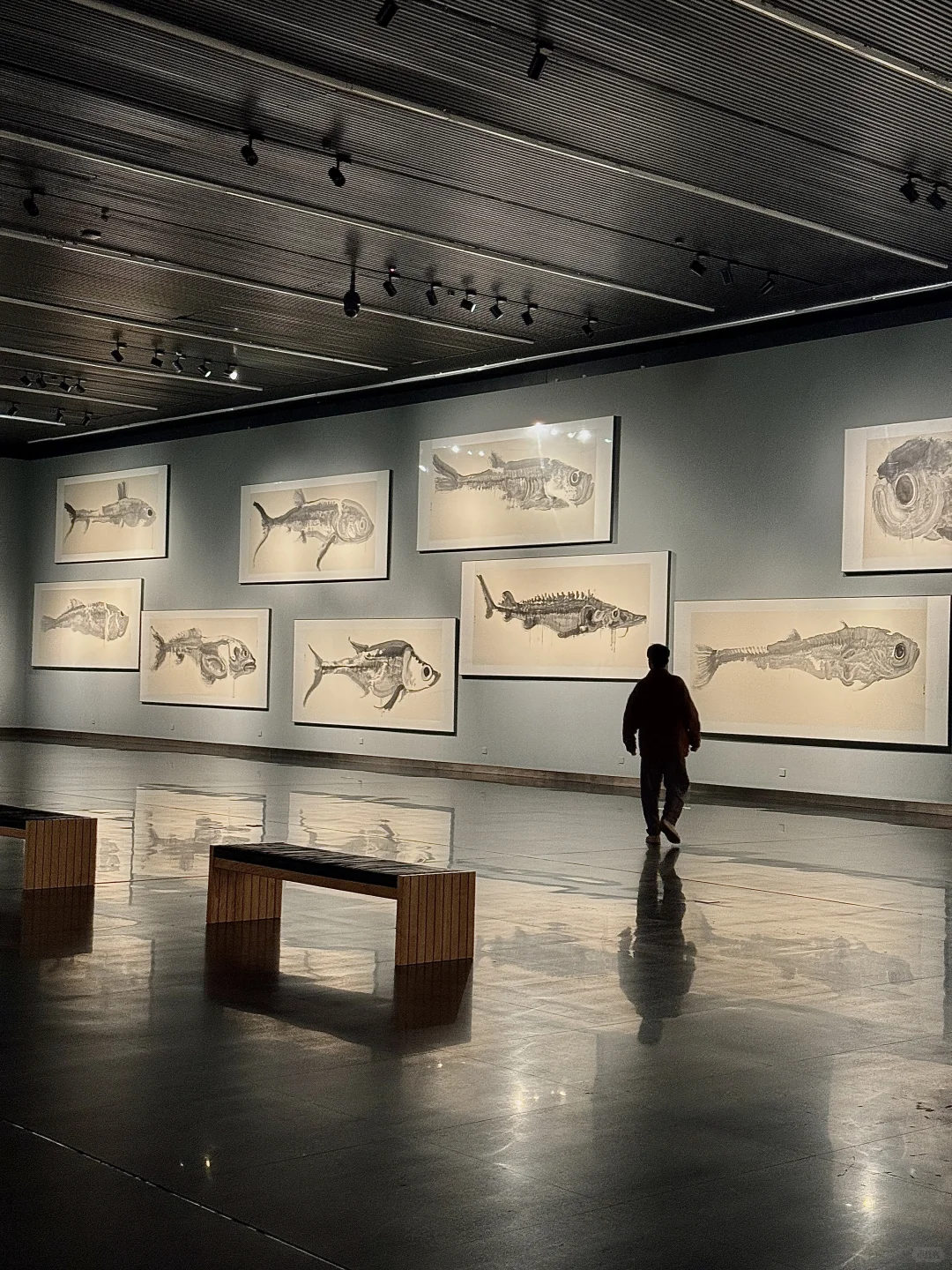 南京新展｜周京新《有鱼》：水墨大鱼游入南京