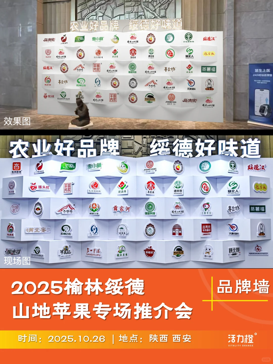 把苹果玩出花！一场关于苹果的创意推介会