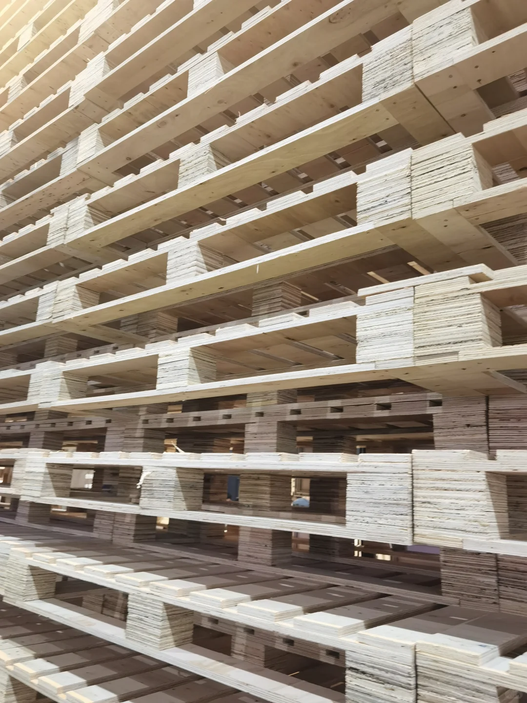 广州设计周偶遇谷腾老师