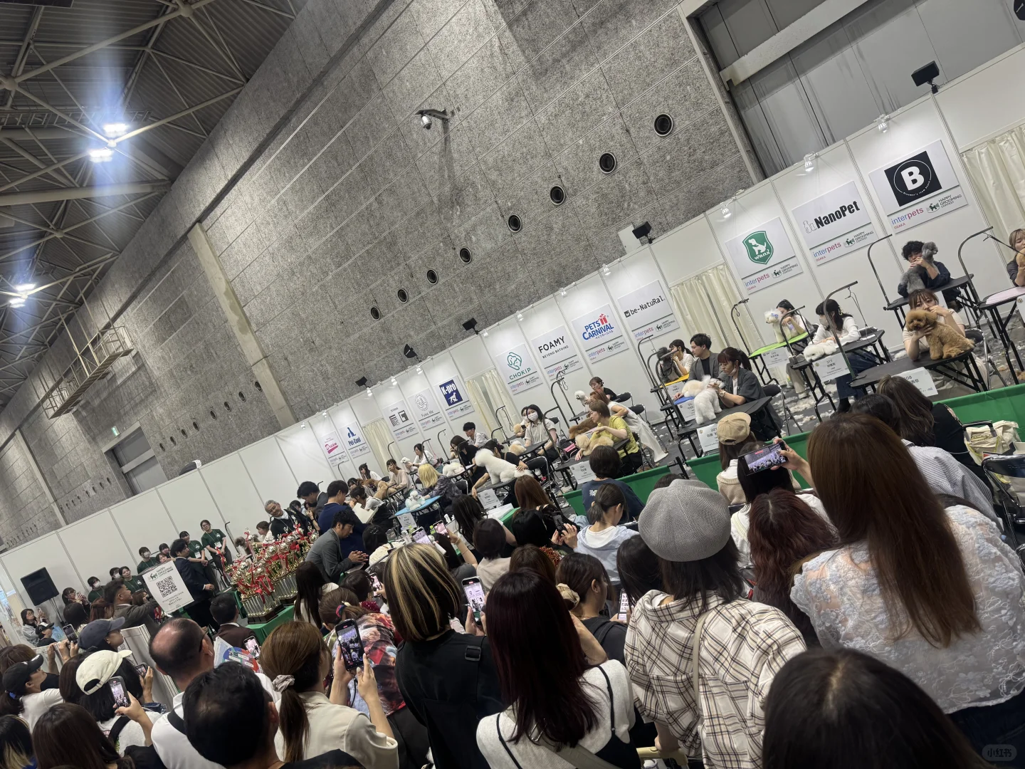 ?日本大阪宠物用品展Interpets Osaka✨