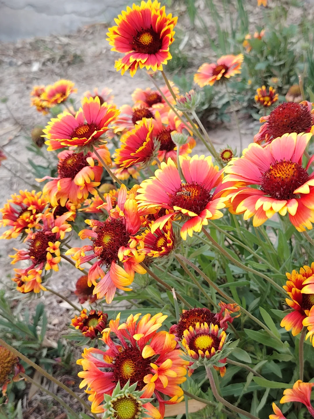 放飞梦想的地方