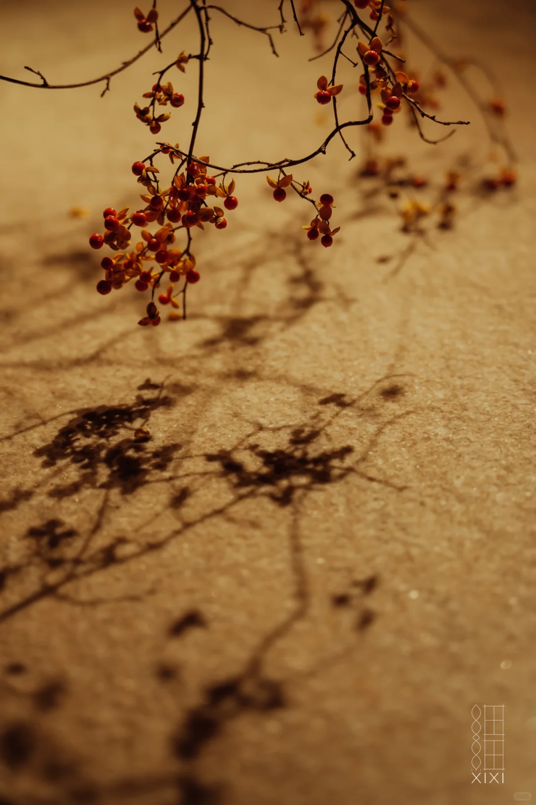 艺术生活｜广州设计展