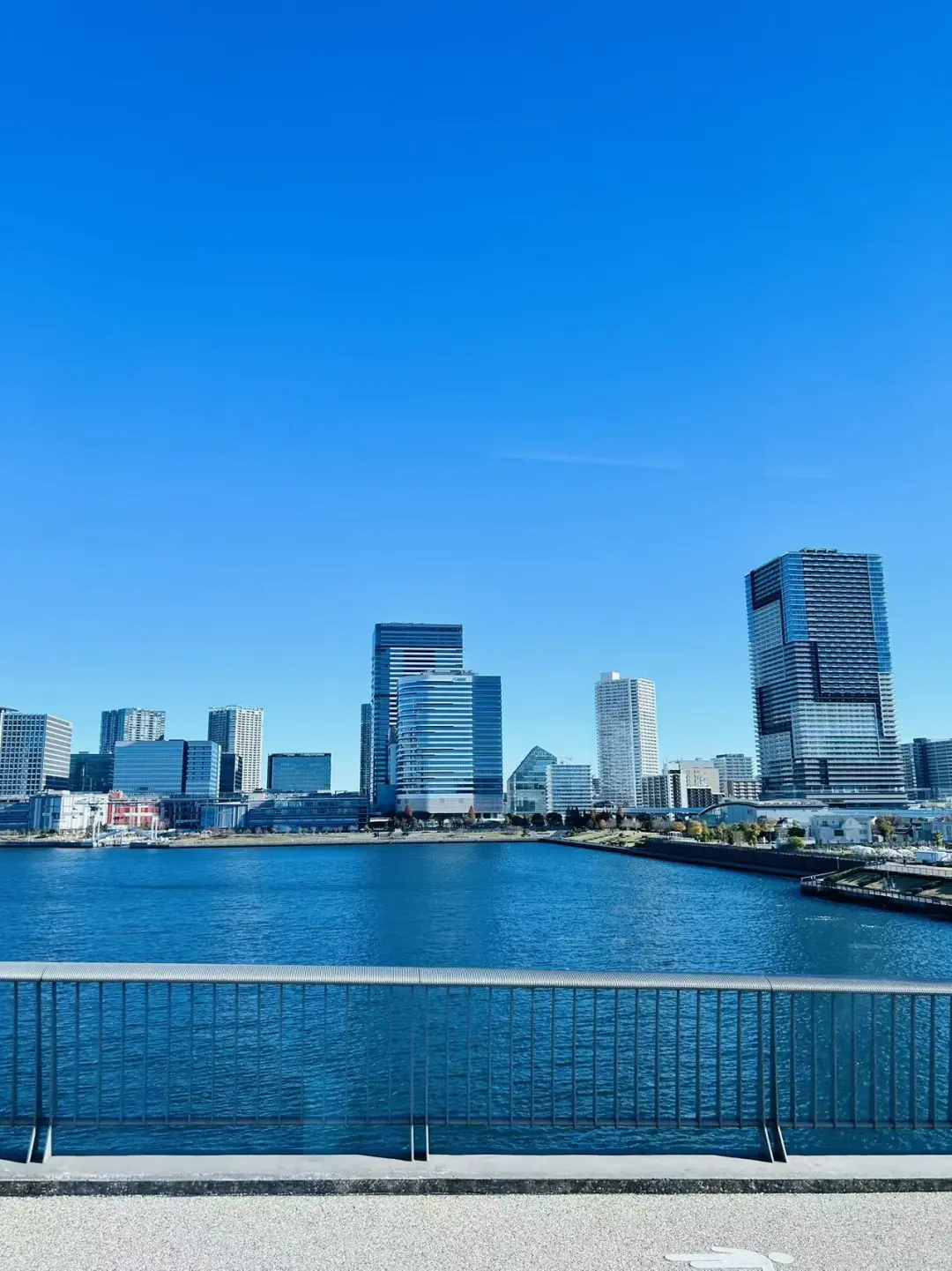 来东京IREX展偶遇一下吧！