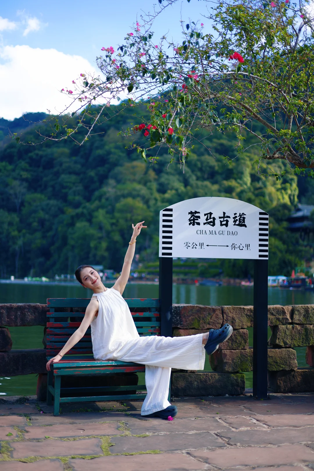 普洱‼️ 茶博会隐藏玩法大公开?