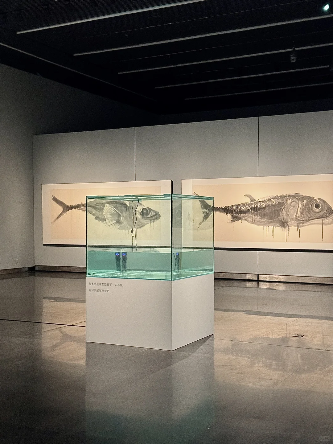 南京新展｜周京新《有鱼》：水墨大鱼游入南京