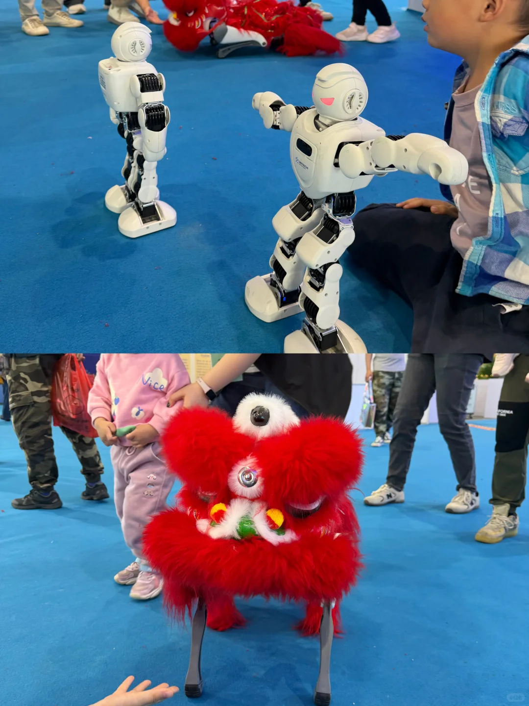 有意思！南宁会展中心农业展，科教娱乐美食趣