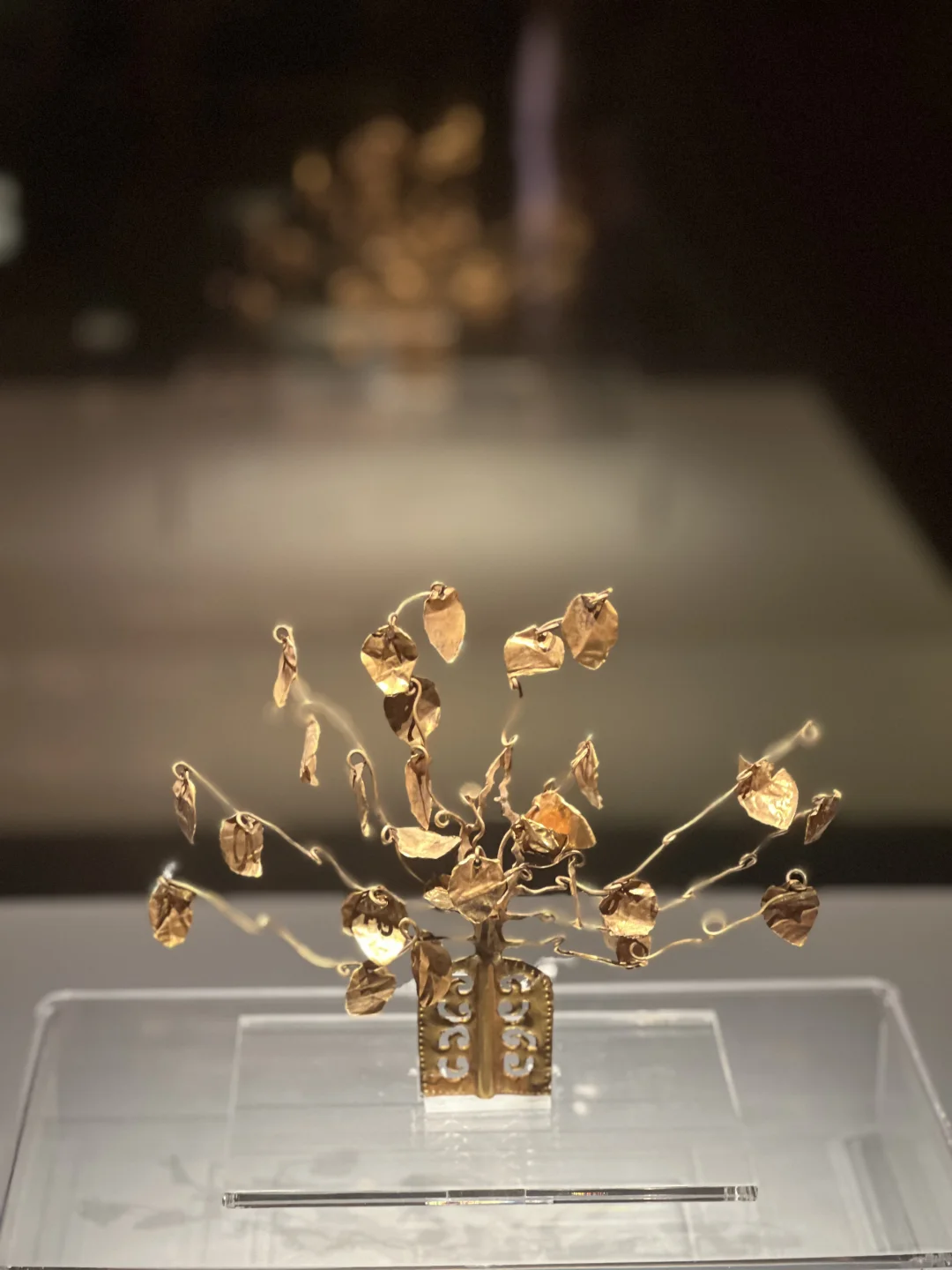 澳门的漂亮展都是免费的