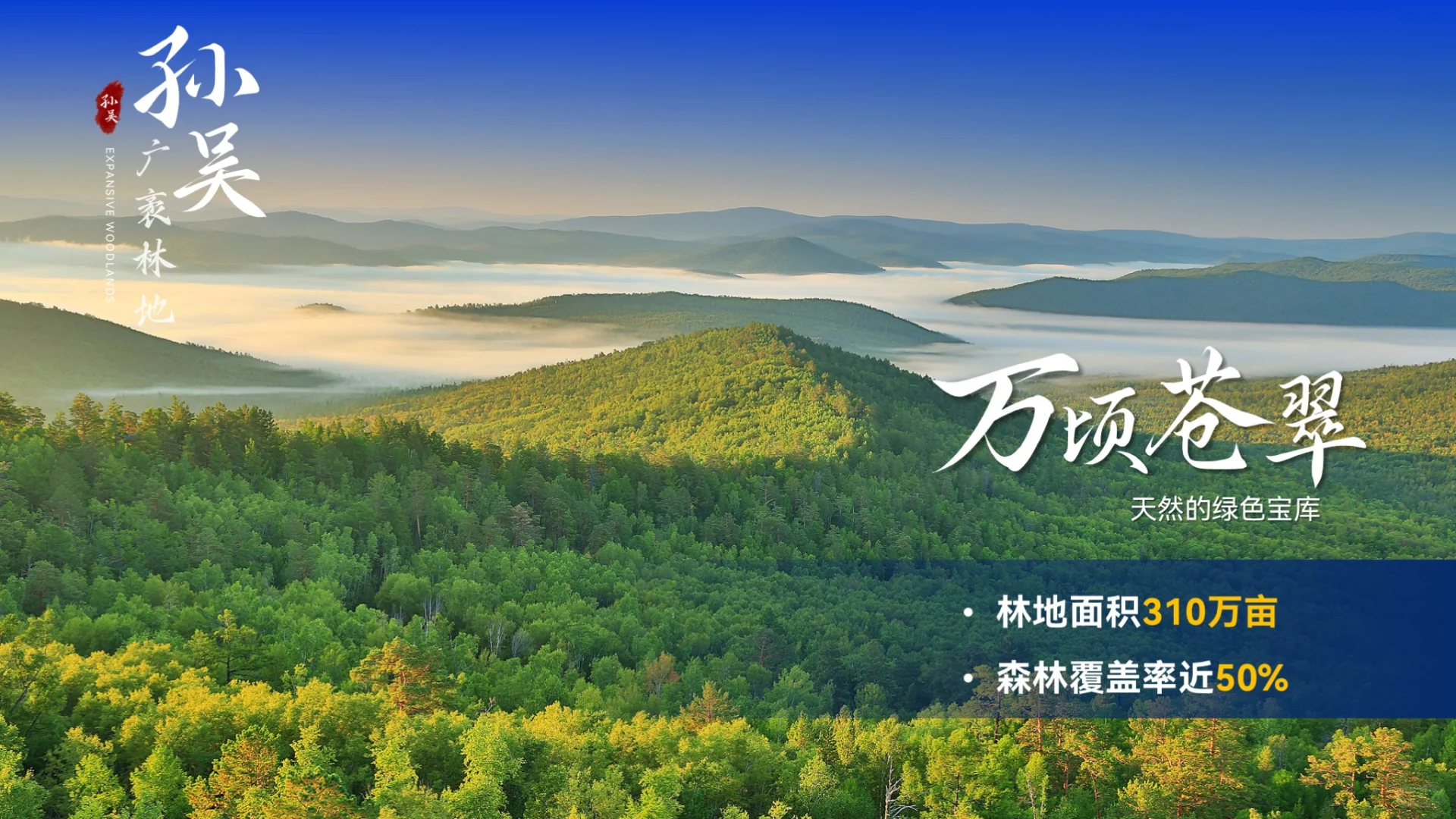 高端推介PPT 案例分享！