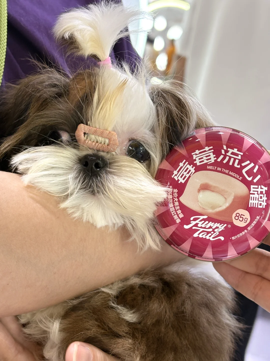 来华南展对暗号?请修猫修狗吃罐罐