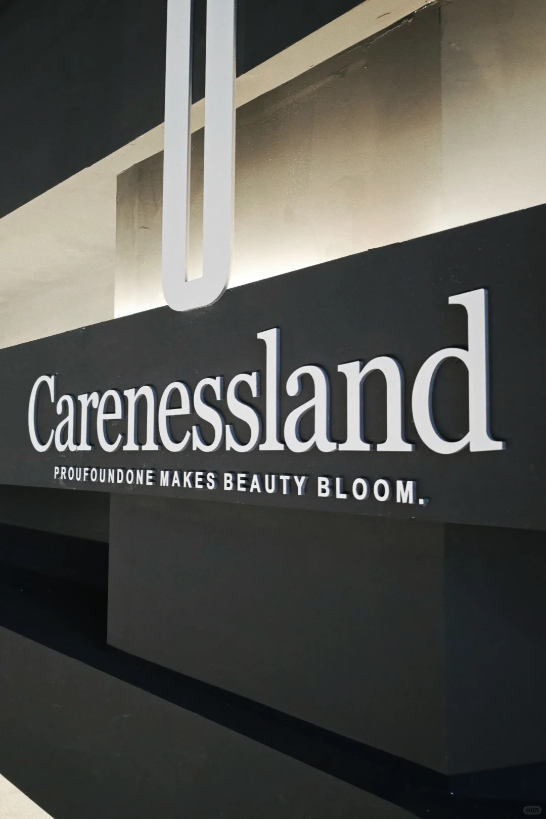 爆逛广州设计展｜45万人冲的美学狂欢周