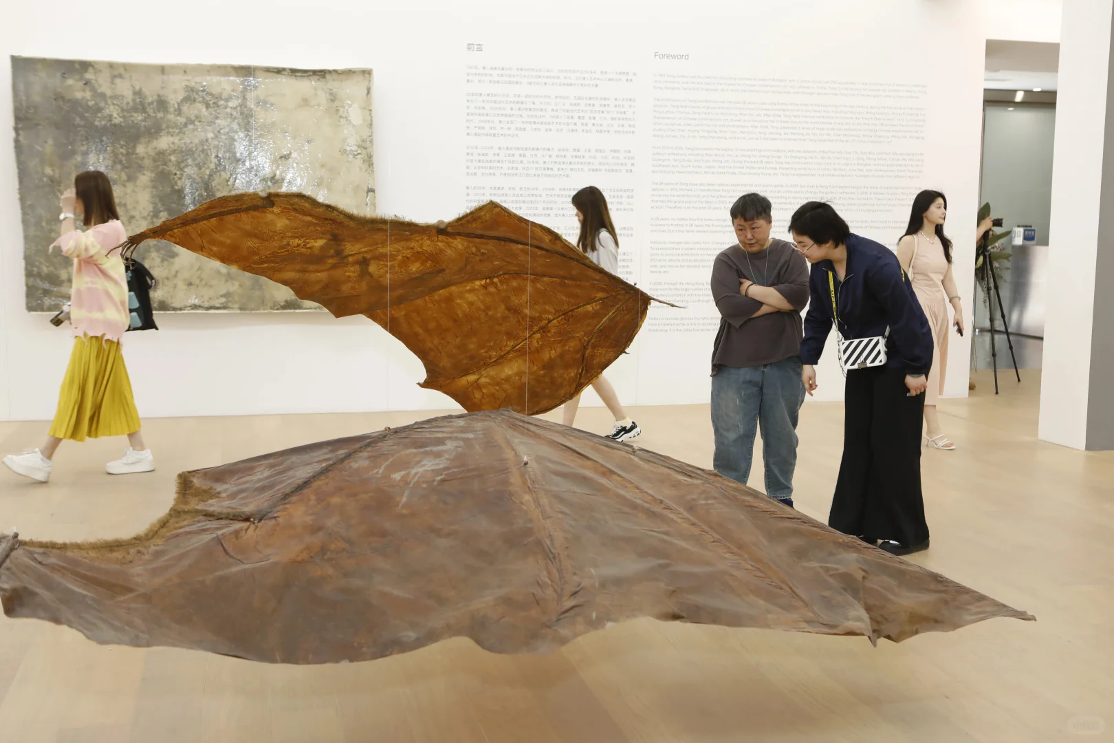 黄永砅《双翼》即将展出于2025巴塞尔迈阿密海