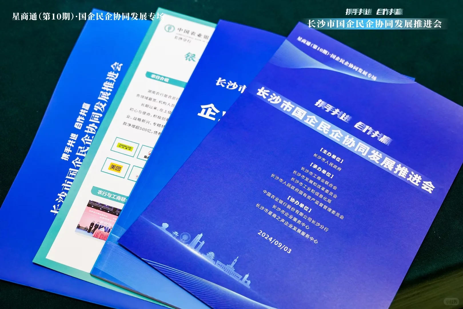 国企民企推荐会