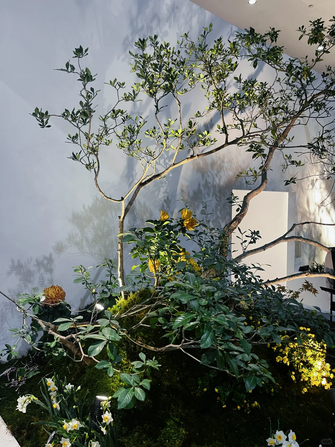 2025广州设计周，排队排傻了～