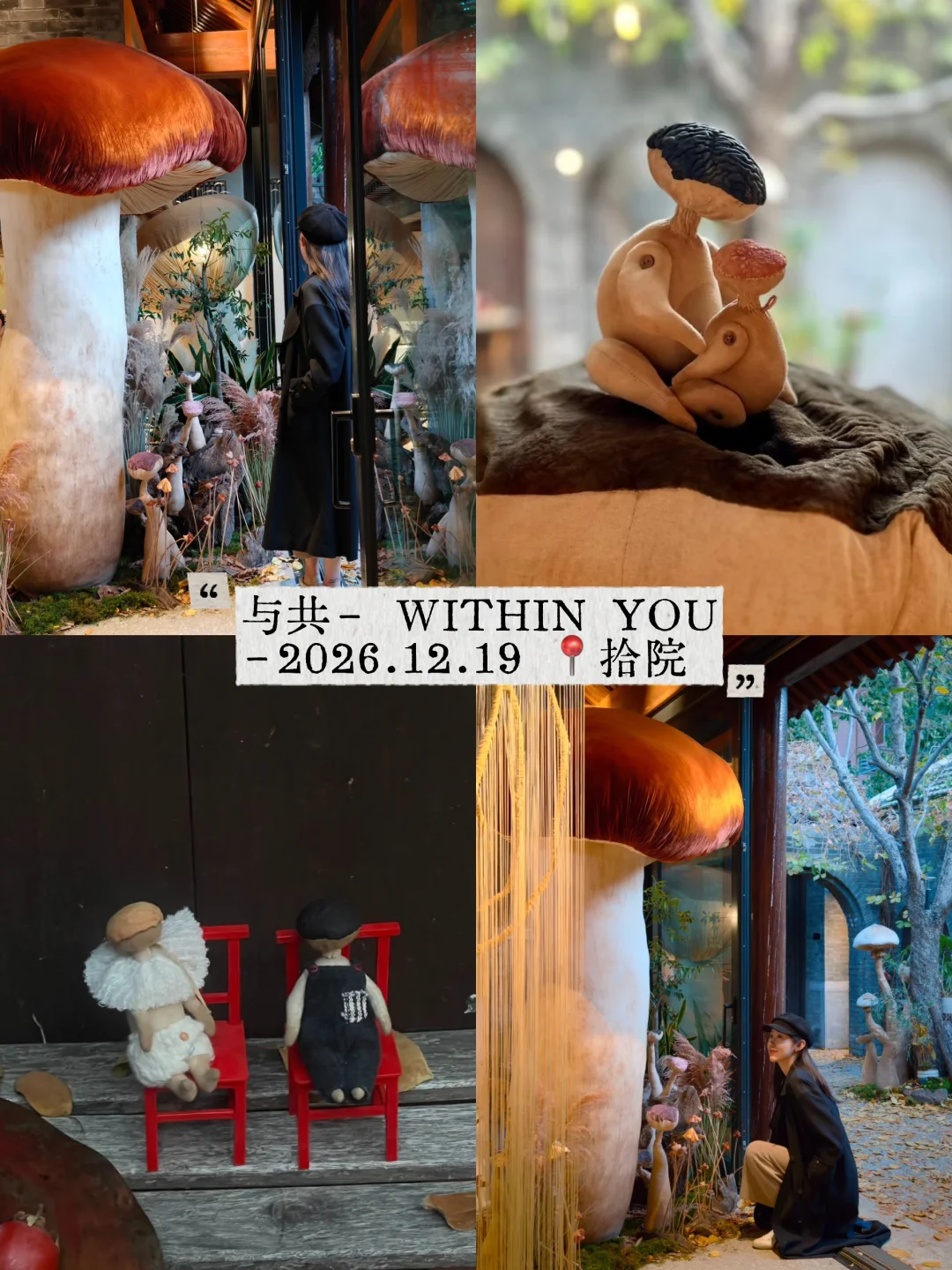 北京12月展览合集）?适合一个人逛一下午